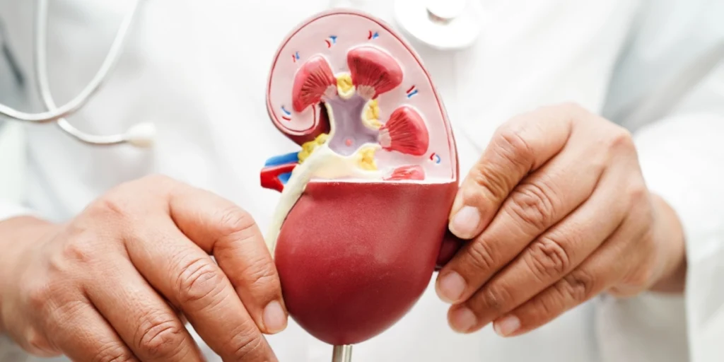 Renal Trauma Management