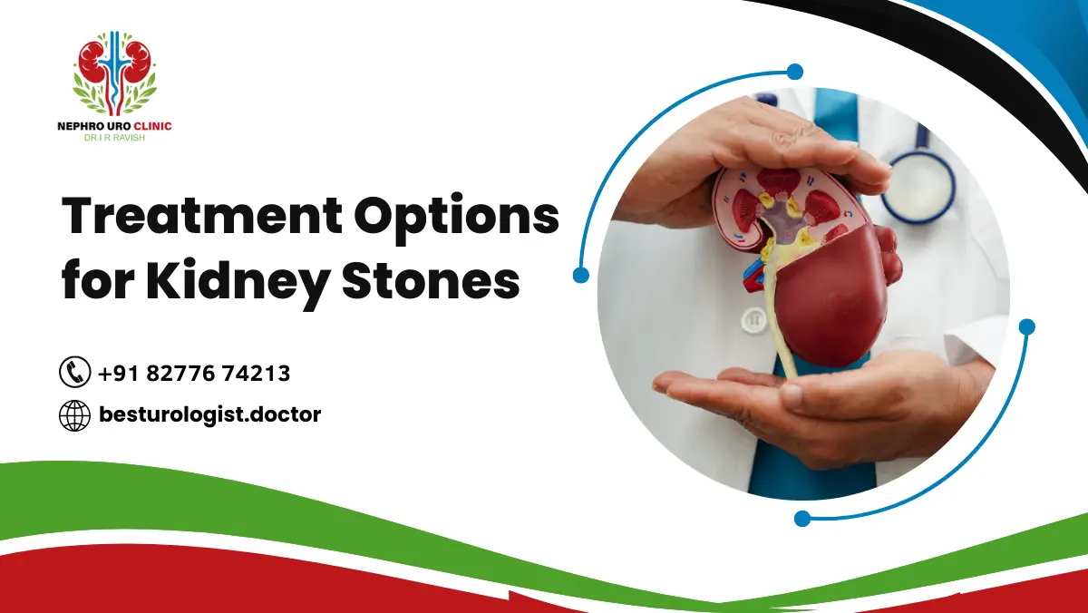 Treatment Options for Kidney Stones