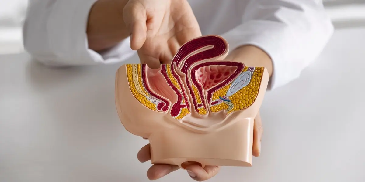 Uro Dynamics treatment in Bangalore | Nephro Uro Clinic | Dr. I R Ravish