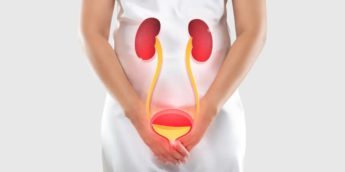 Incontinence treatment in Bangalore | Nephro Uro Clinic Dr. I R Ravish