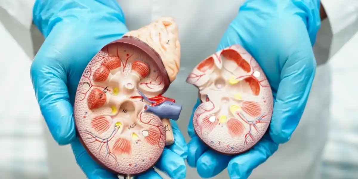 renal transplantation in Bangalore | Nephro Uro Clinic | Dr. I R Ravish