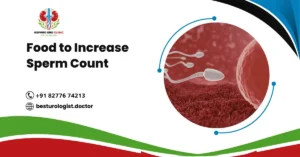 Food to Increase Sperm Count | Best Urologist Doctor