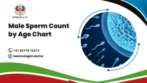 Male Sperm Count by Age Chart
